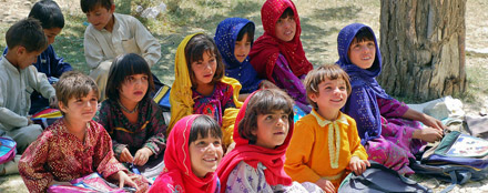 免费ddos在线攻击测试网站